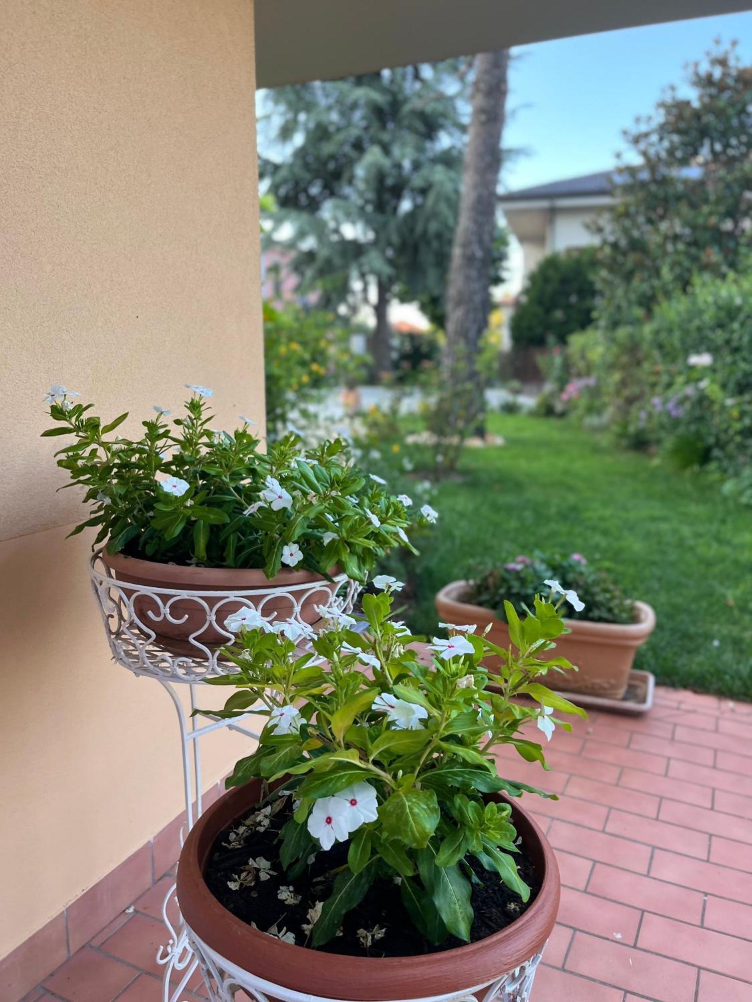 Residenza Salge Bed & Breakfast Colonnella